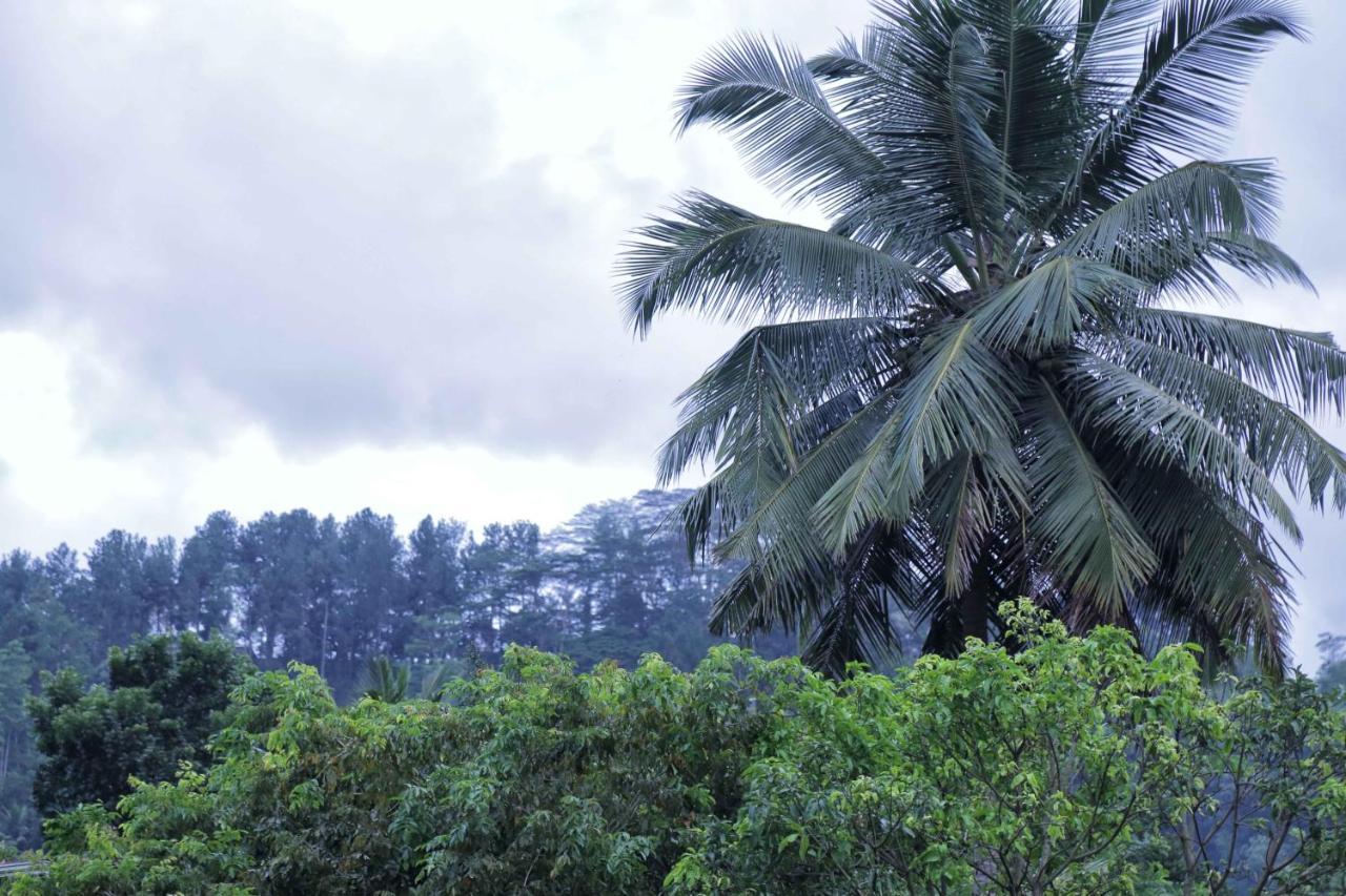 Mount River View Kandy Exterior photo